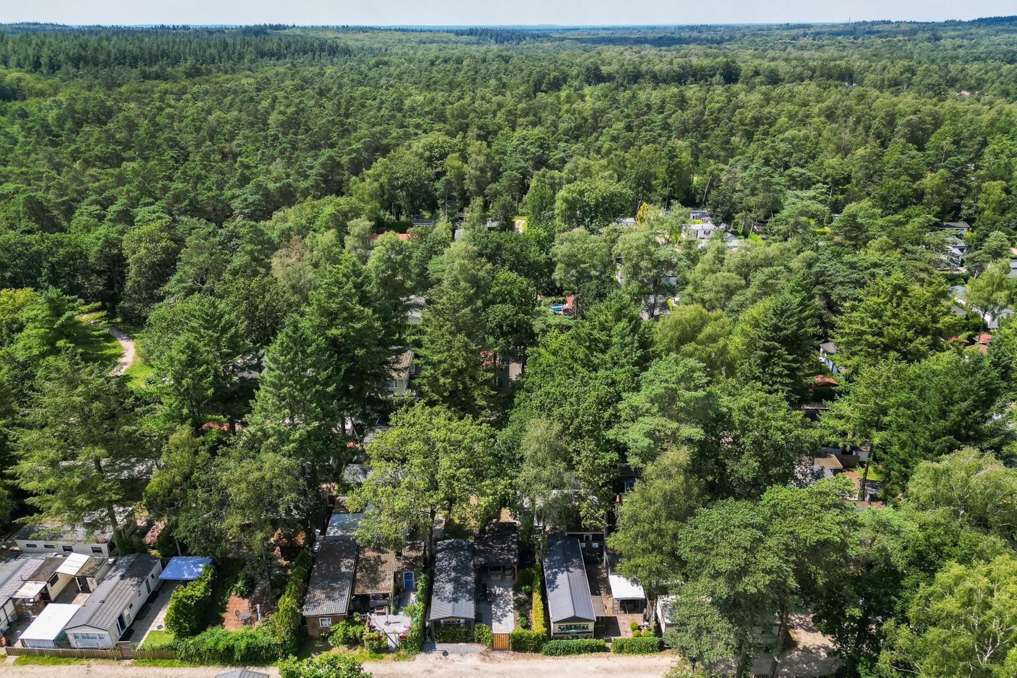 Veluwe Hoenderloo Luxury Chalet With Private Sauna And Hot Tub - Swimming Pool Tennis Court Supermarket Bowling Alley Theatre And Entertainment For Children Exterior photo